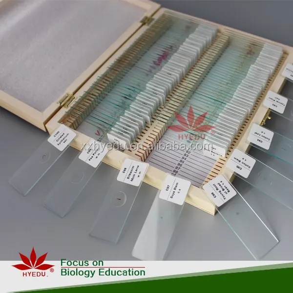 Высококачественный микроскоп 100 шт. в комплекте готовые слайды с прямой фабрики