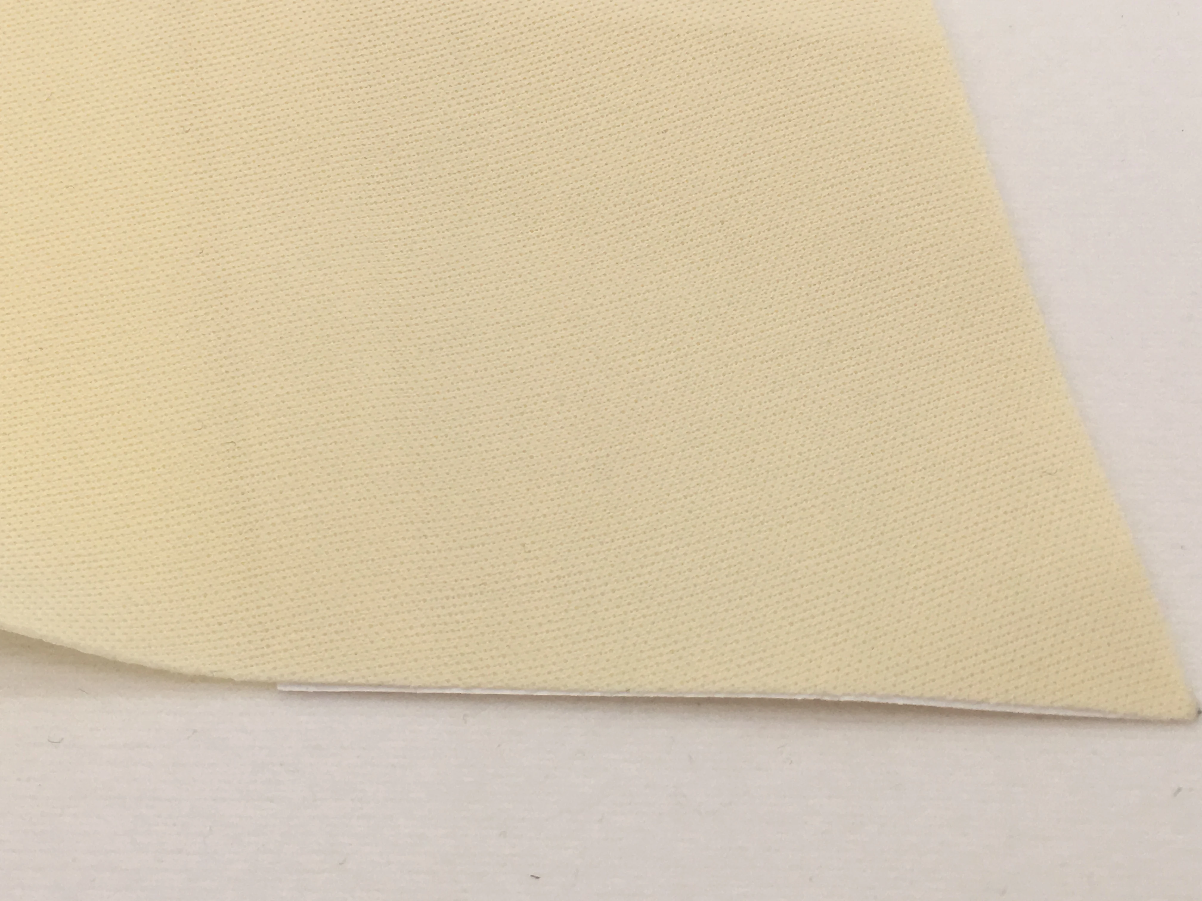 Women C String Thong Disposable Bikinis for Spray Tanning