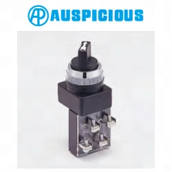 Переключатель ручного типа 25 мм 30 2 или 3 положения (SS-25/30)