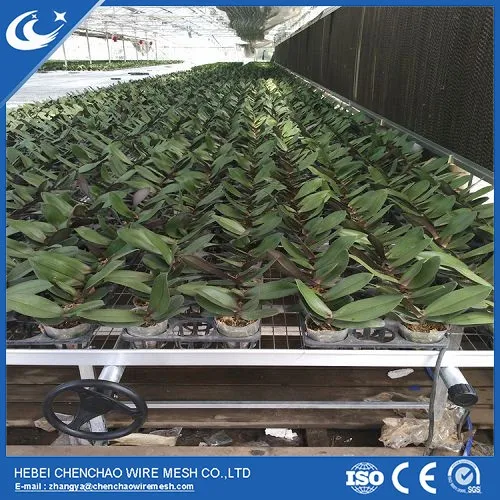 agricultural greenhouse seedbed for nursery benches steel growing table