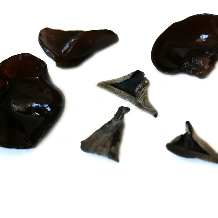 
edible dried ear dehydrated tree food fungus 