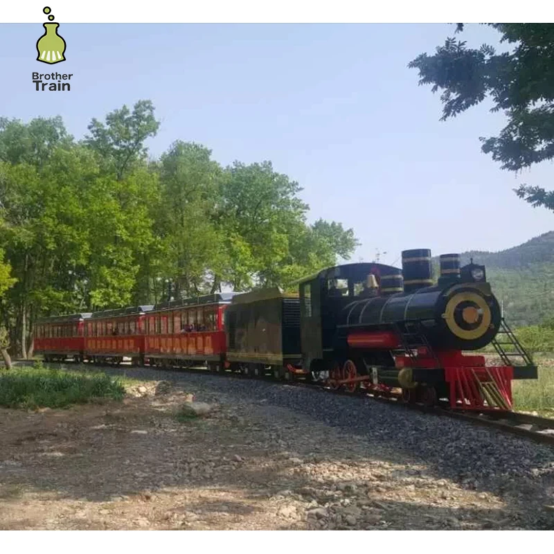 Garden electric diesel sightseeing track train locomotive ride electric