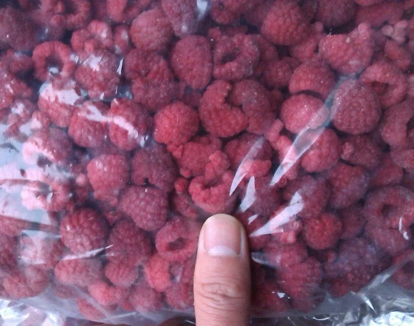 Wholesale Frozen/IQF Raspberry Whole 2021 New Crop, Chinese frozen fruits