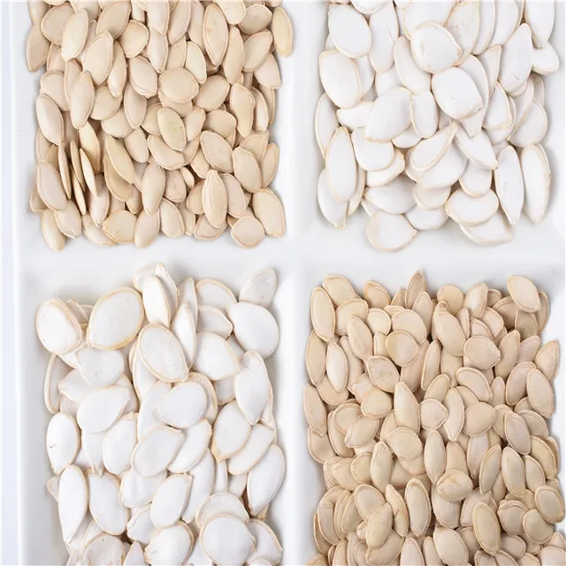 HIGH QUALITY 2024 crop delicious high quality Chinese roasted Pumpkin Seeds At Best Price