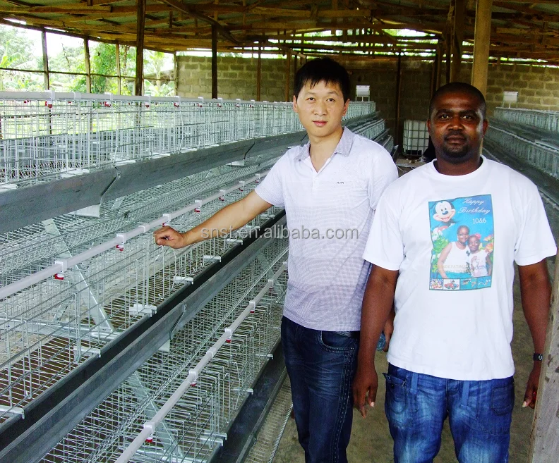
Chicken layer battery cage for layer chicken popular in Africa market 