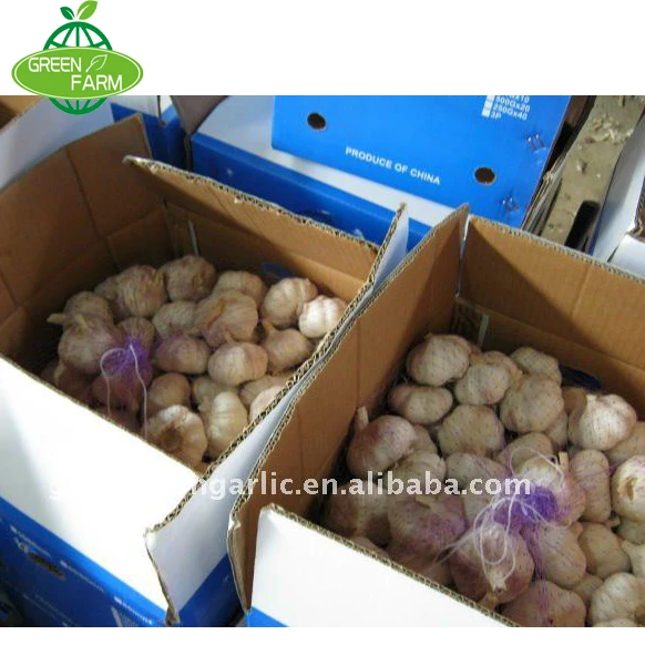 Cold Stored Fresh Garlic hometown of garlic White Garlic