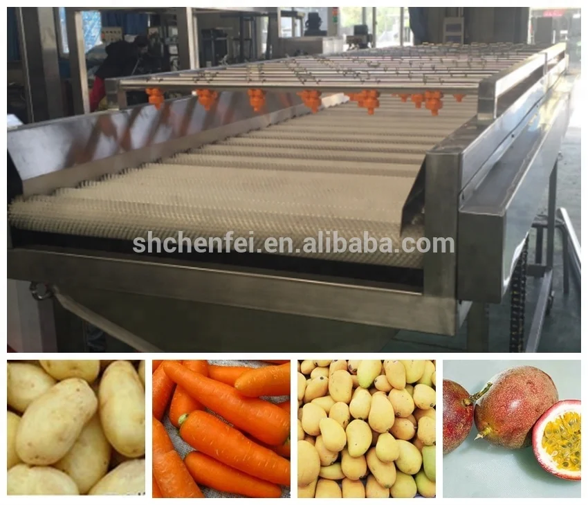 turnkey freezedrying dried fruit and vegetable slices production line project