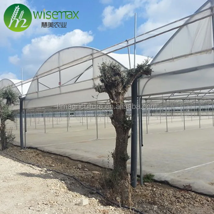 Multi-span plastic film greenhouse for agriculture