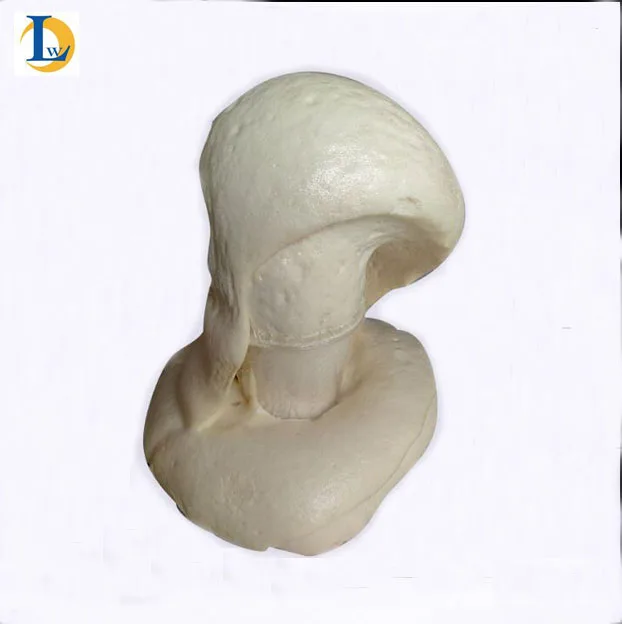 flexible waterproof material hydrophobic polyurethane foam for building construction