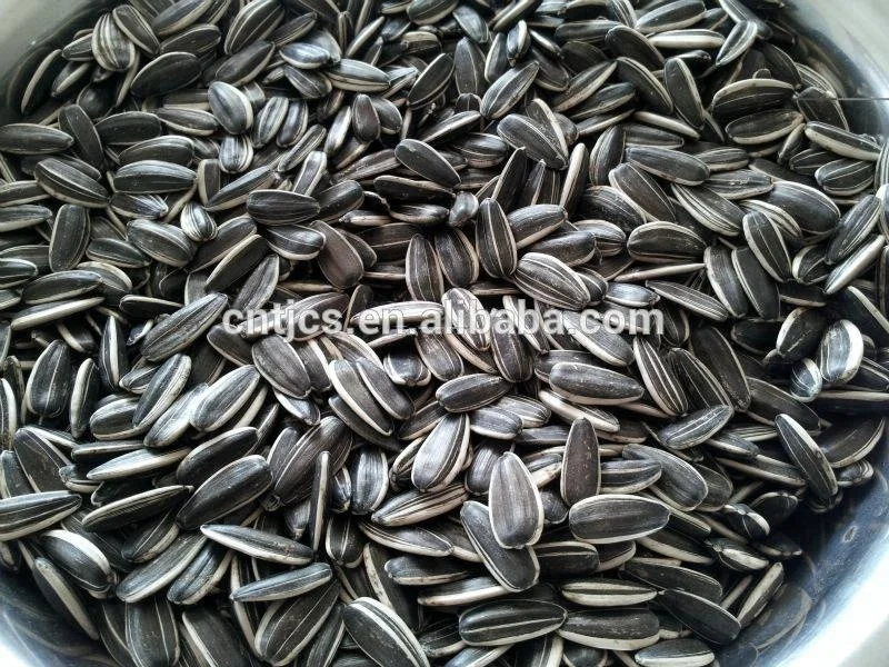 
chinese sunflower seeds type 363/361/601/5009/3939 