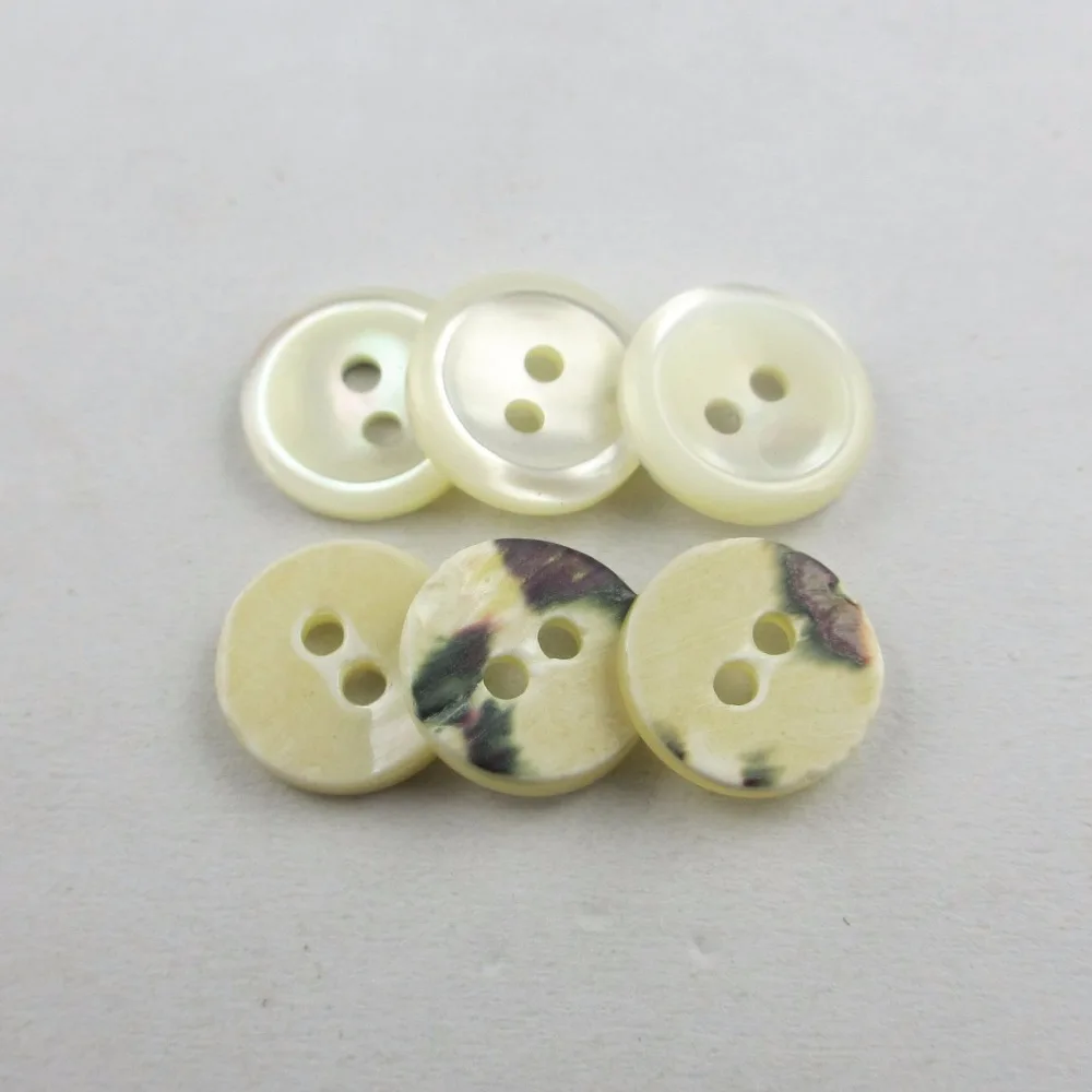 nature sea trocas shell button