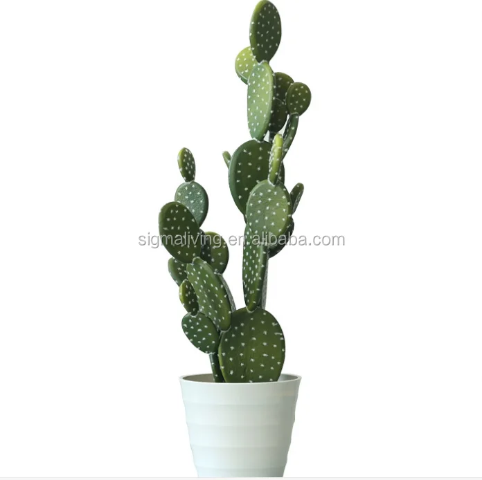Green Artificial Cactus Succulent Plant