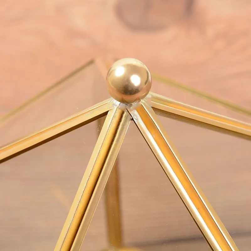 Factory Direct Lovely Air Plant Terrarium Globe Glass Open Reptile Terrariums for Wholesale