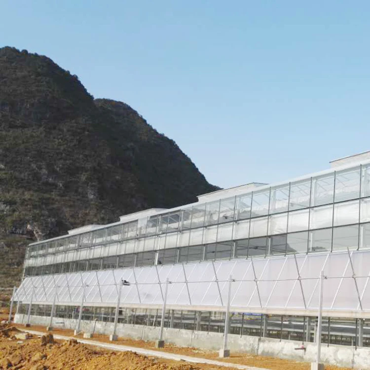 Natural ventilation vegetable seeding nursery glass greenhouse