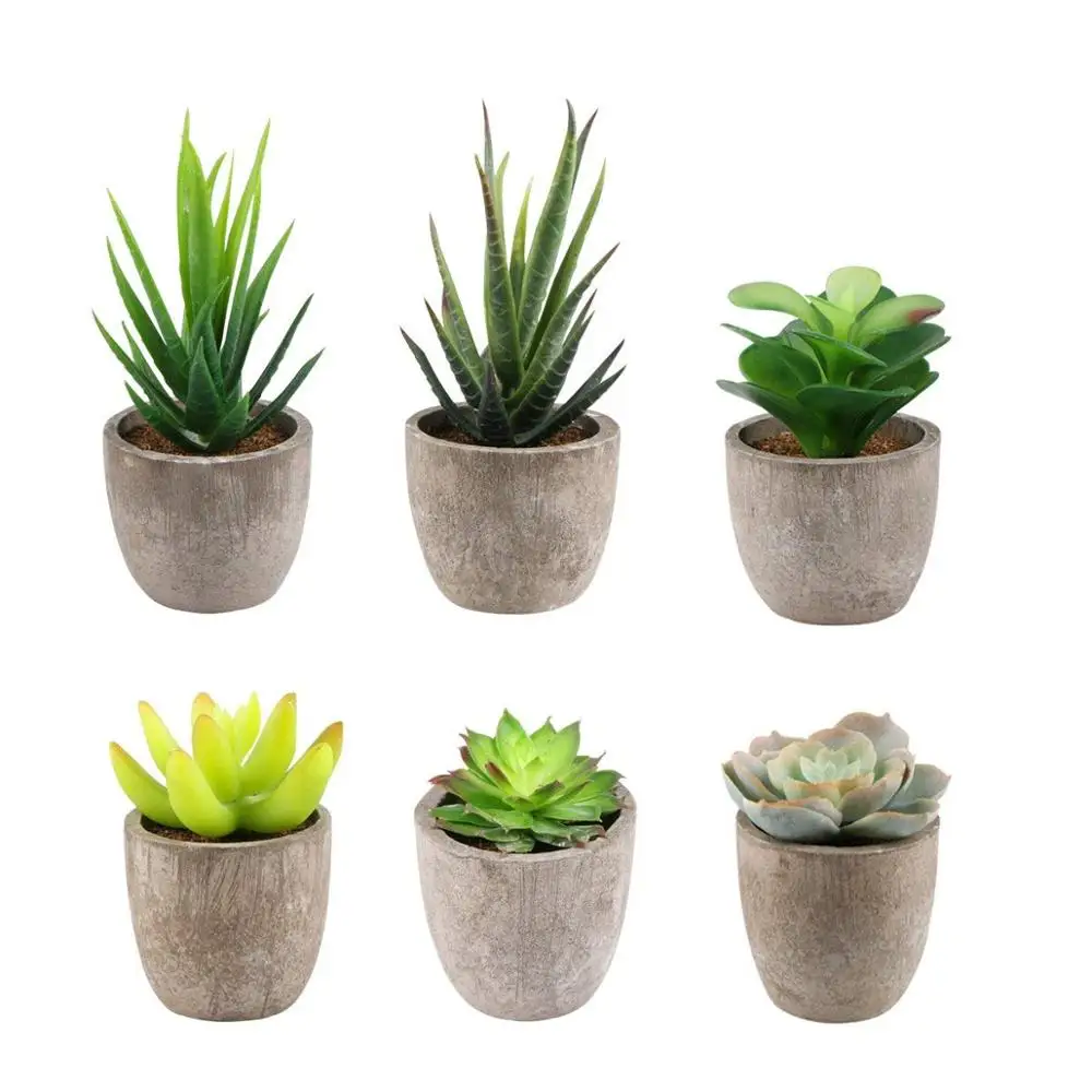 Realistic Decorative Artificial Cacti Potted Faux 6 Set Succulents Faked Cactus Aloe Plants