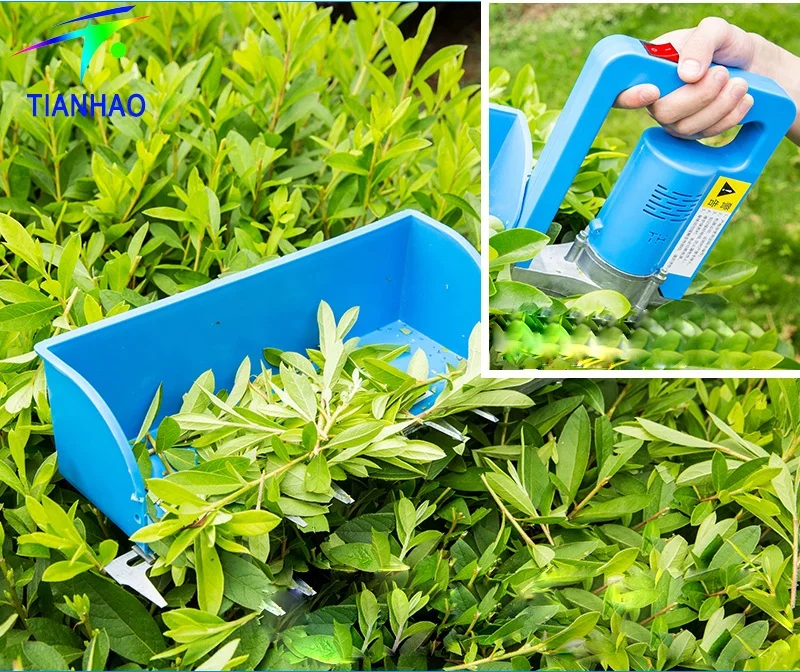 TH Newest Mini Battery Powered Tea Leaf Plucking Machine For Tea Plantation