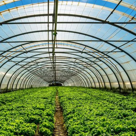 Lanyu Intelligent vegetable glass greenhouse and hydroponic growth system