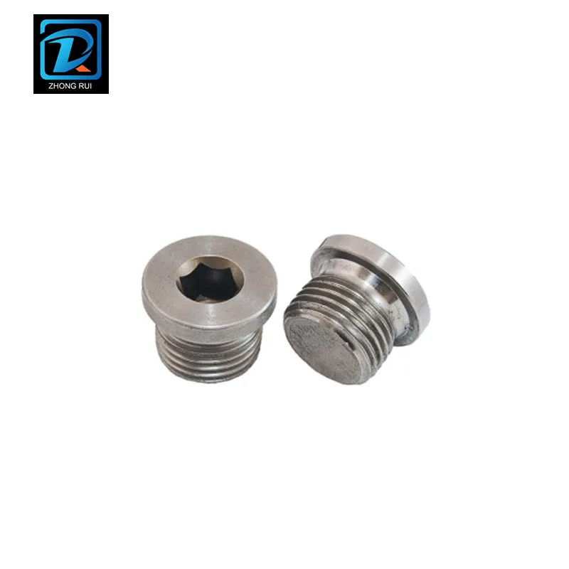 DIN 908 904L Stainless Steel Hexagon Socket Screw Plug