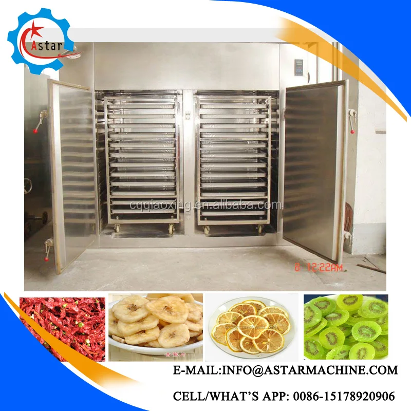 Cheap machine to dry fruit/fruits dryer