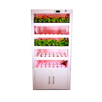 Automatic hydroponic growing system garden hydroponic tower system for growing flowers, vegetables, herbs, fruits