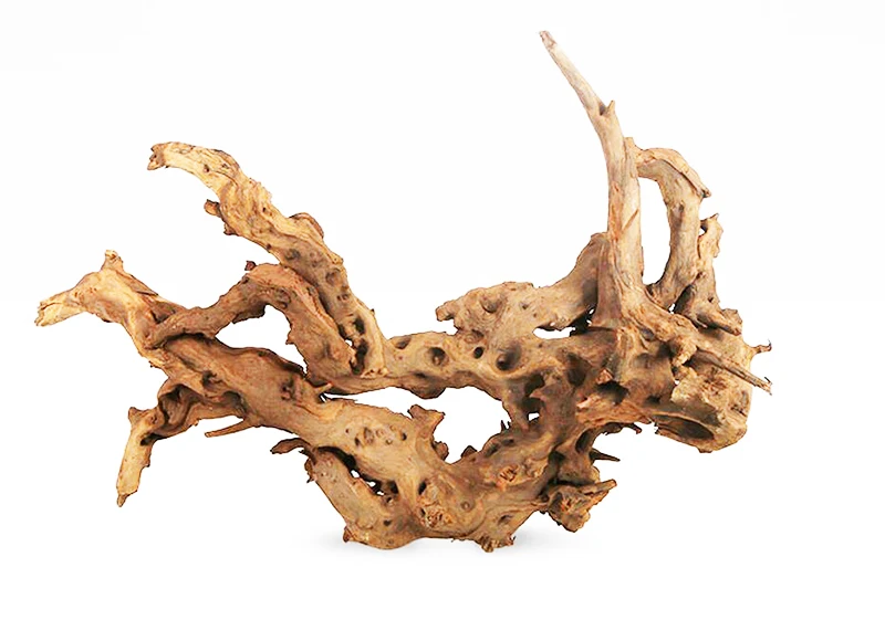 Натуральный водный аквариум NIHAO