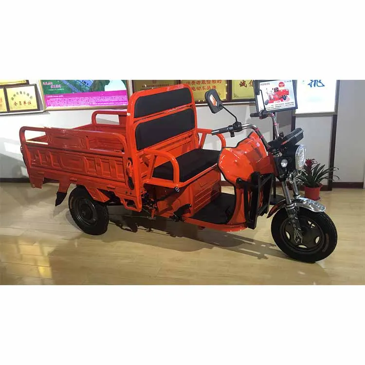 China Cargo Tricycle South Africa Cargo Tricycle Electric Manufacturer