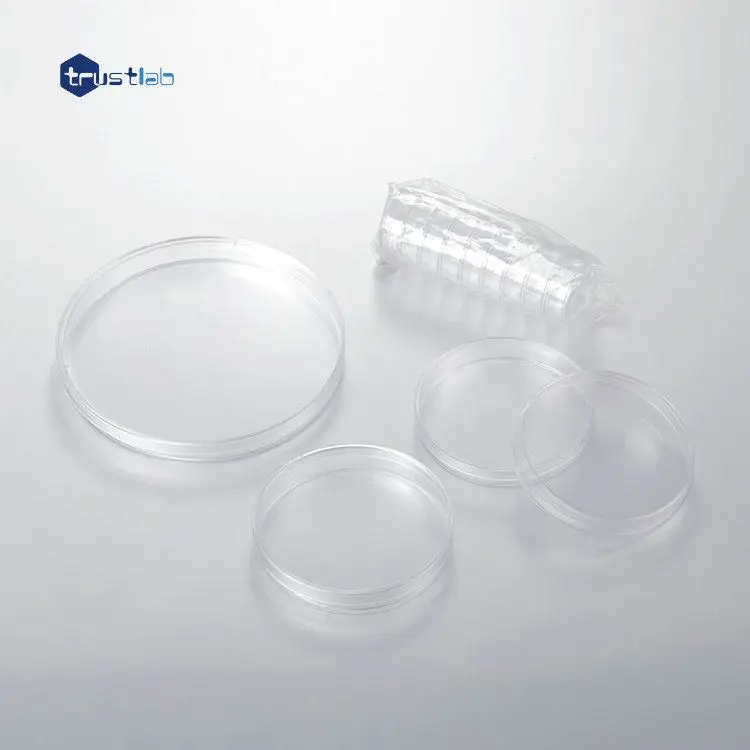 Lab cell culture glass petri dish