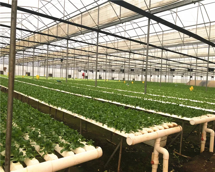 greenhouse agricultural hydroponic greenhouse systems greenhouse manufacturing