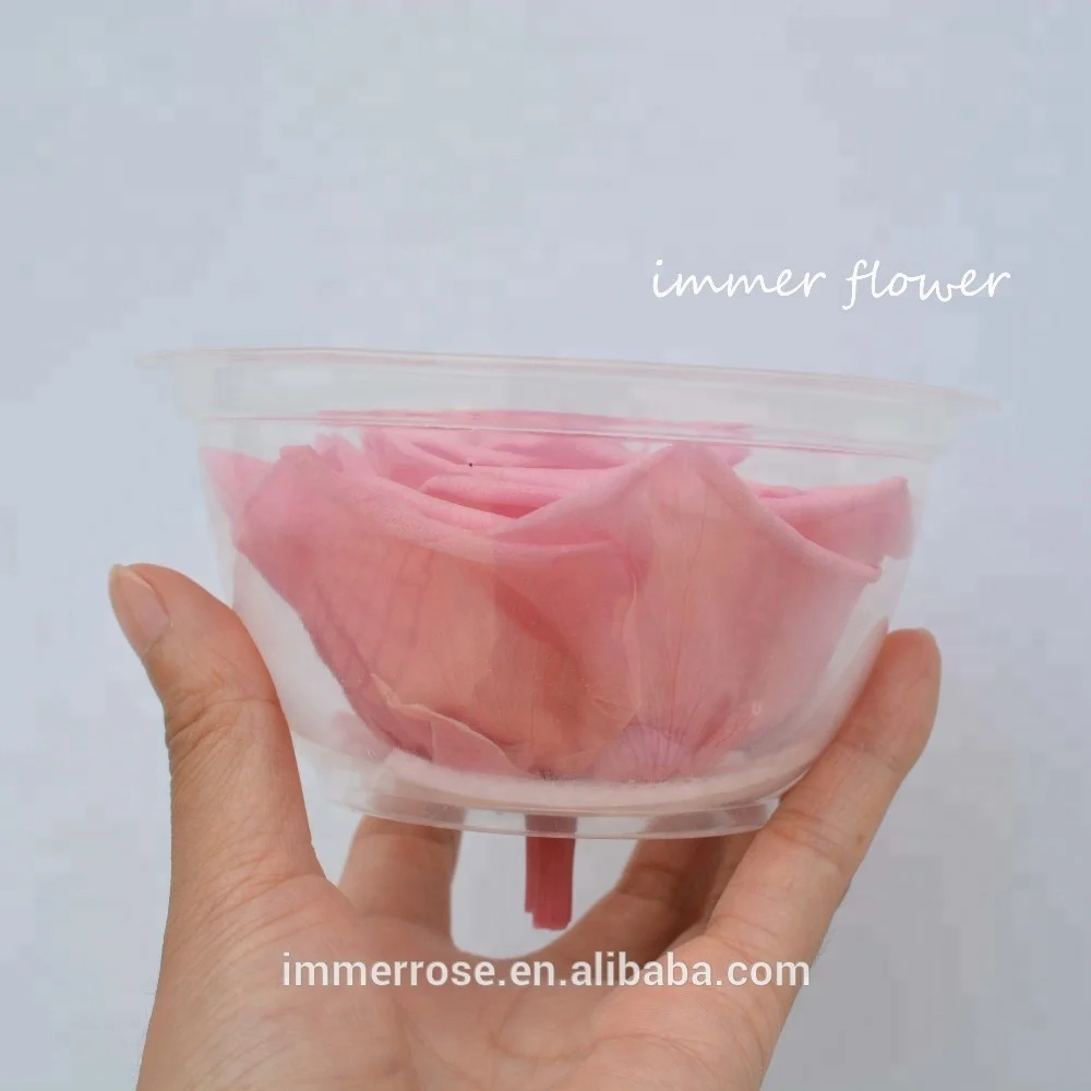 
Everlasting flowers ecuador huge rose Preserved Black Roses Flower 