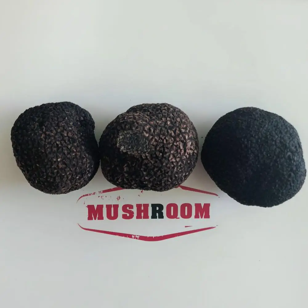 
Detan Fresh Black Truffle Mushroom Price 