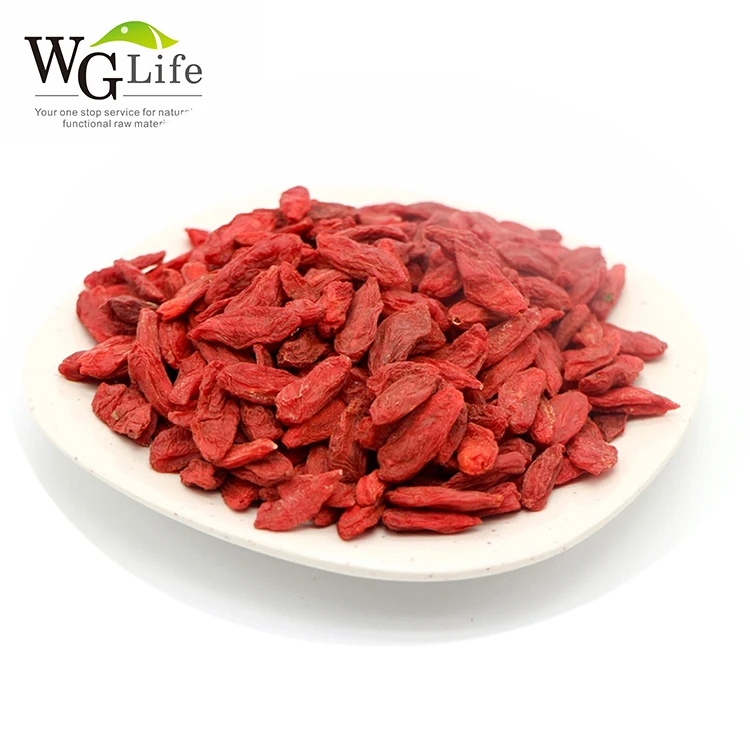 Factory direct supply wolfberry goji berry powder Plant Extract