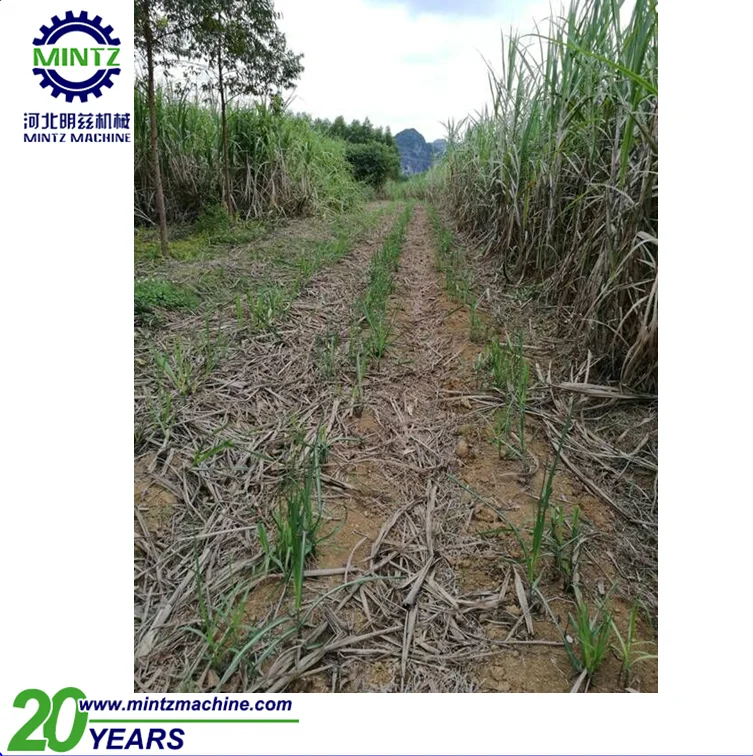 mini sugarcane combine harvester