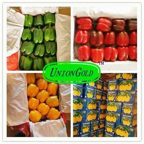 fresh red and green bell pepper