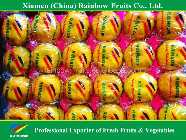
fresh citrus/fresh mandarin/chinese lokam/honey mandarin 