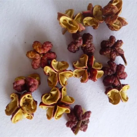 
New products China origin natural food spice Sichuan pepper for sale 