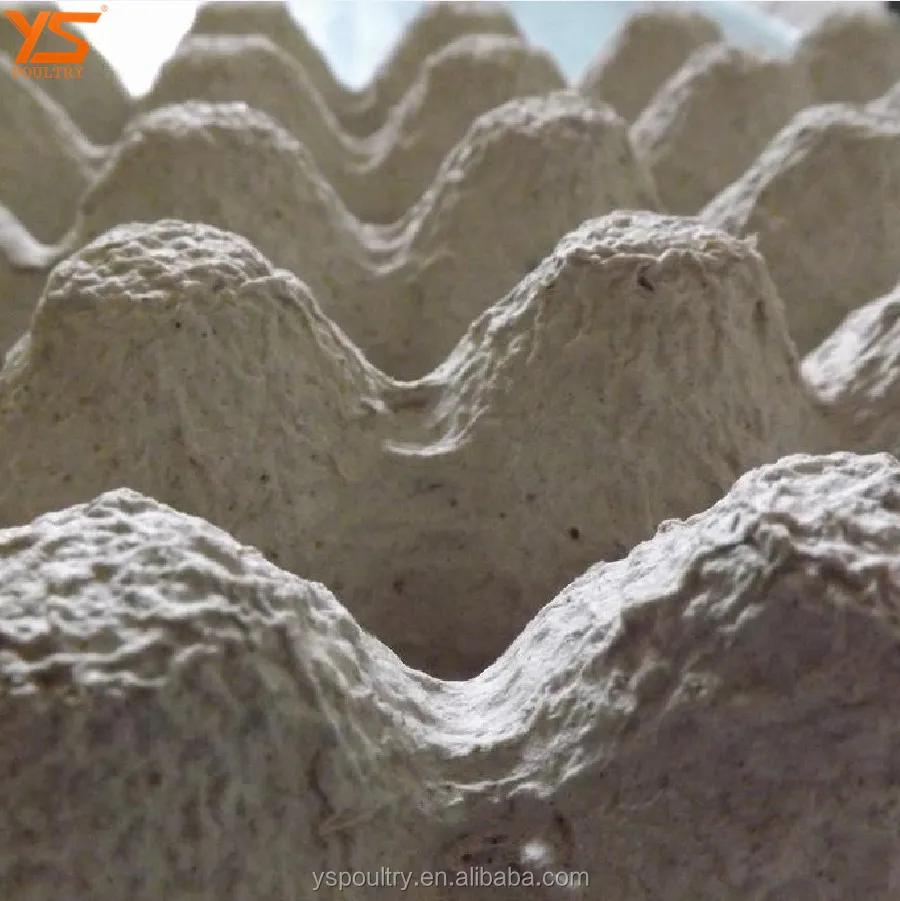 Лоток для яиц из целлюлозы 30 ячеек