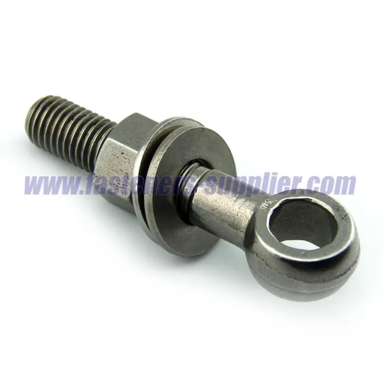 
Stainless Steel Lifting Assembled Eye Bolt & Nut & Washer 