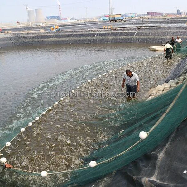 Добавка для пробиотиков жидких удобрений для рыбы