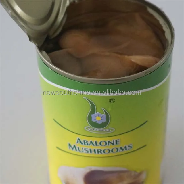 Best Canned Abalone mushroom in brine price 425g