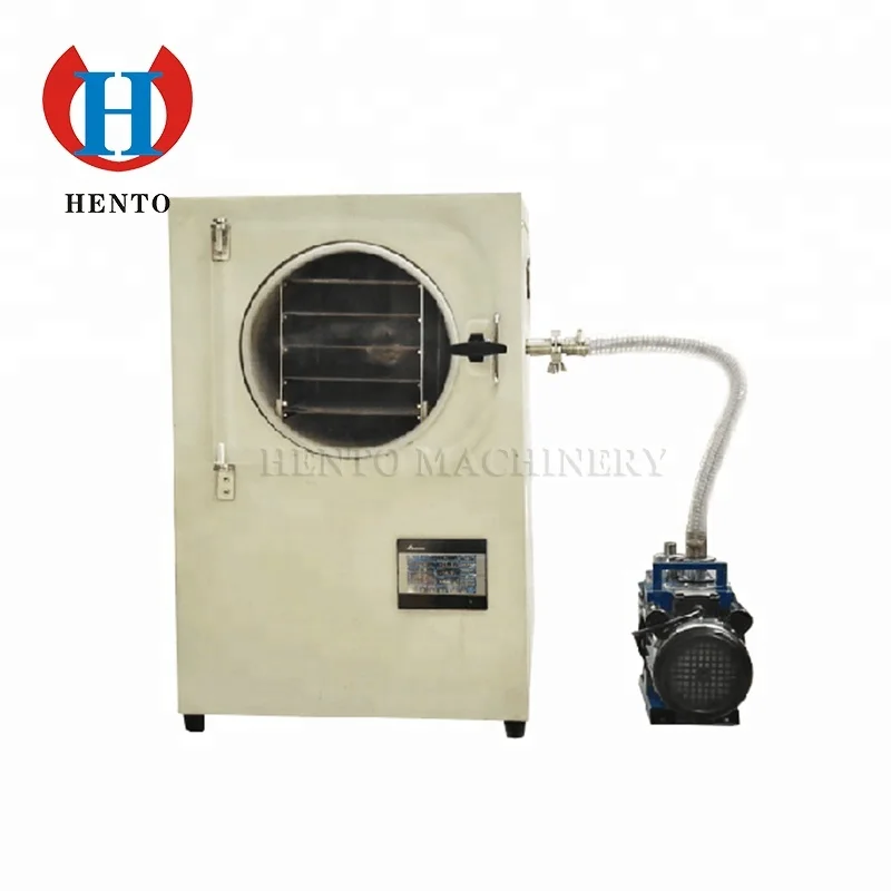 Freeze Dryer Lyophilizer Fruit Freeze Drying Machine