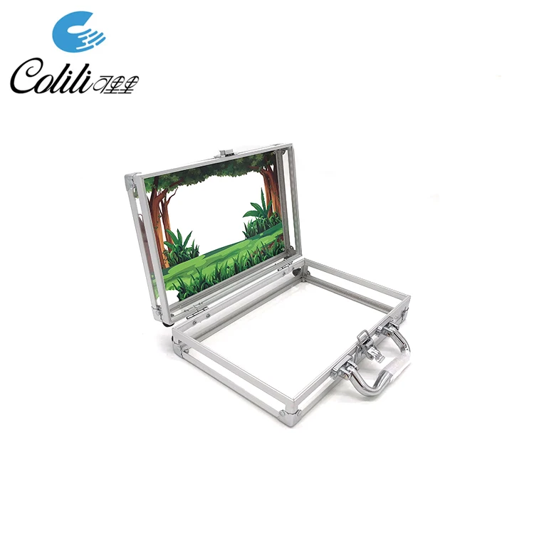 Factory custom DIY clear plastic transparent acrylic briefcase