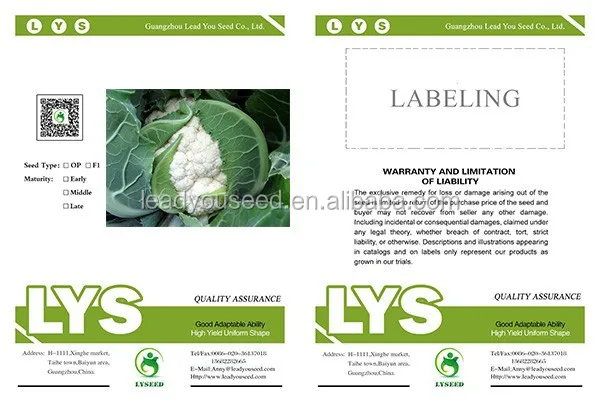 CF15 xuejian № 5 95 дней поздняя зрелость f1 Гибридный белые семена цветной капусты