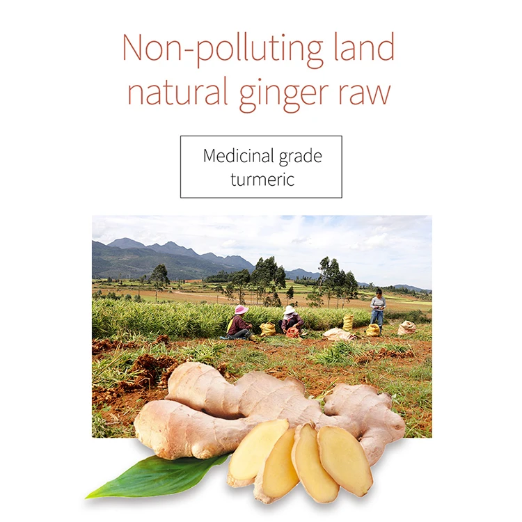 
100% high quality China factory dried ginger shredded ginger natural ginger flake 