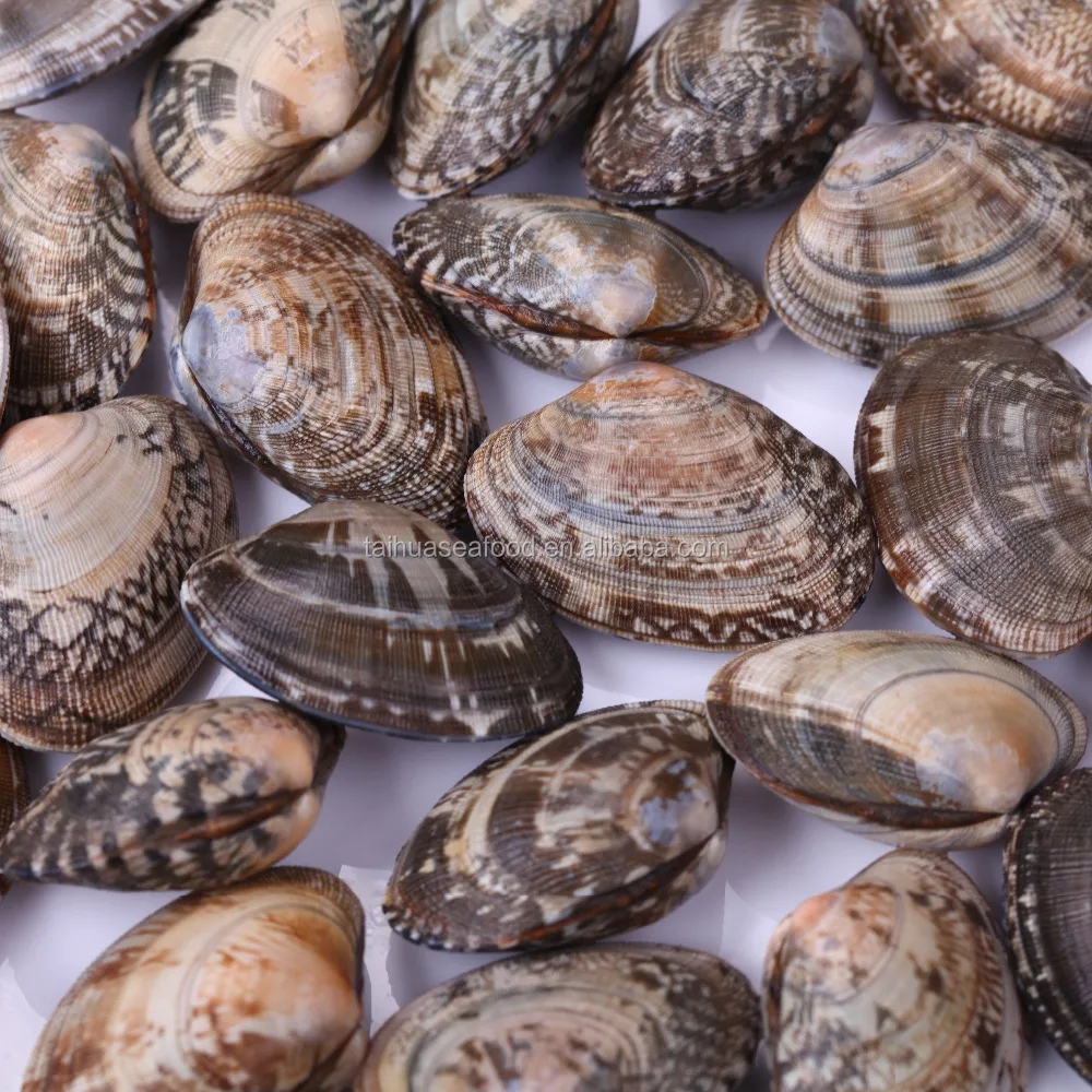 
vacuum packed baby clams 