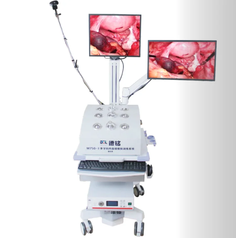 China First Endoscopy Training Simulator system