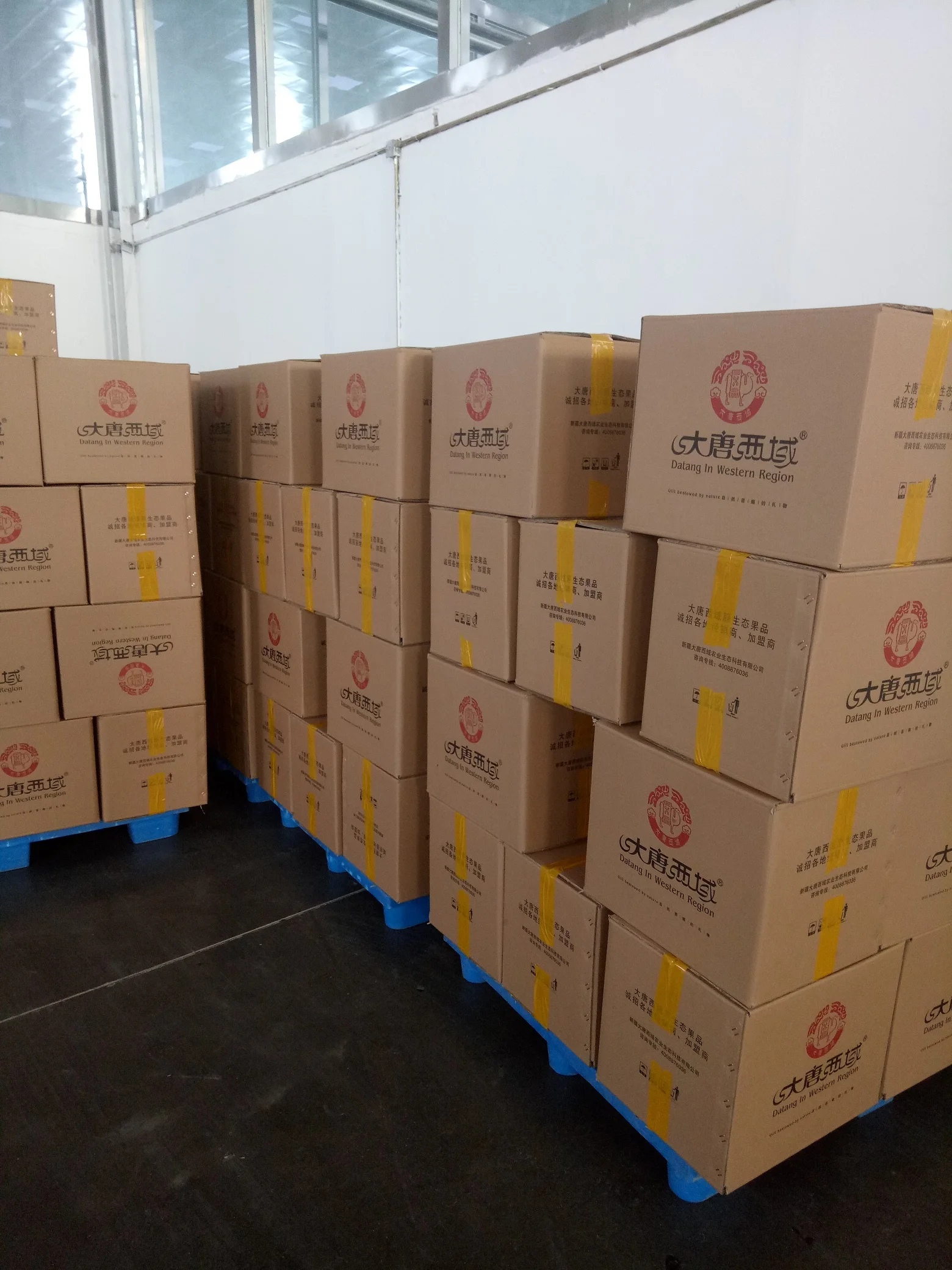 Top quality export to Taiwan jujube walnut/jujube sandwich/jujube with walnut