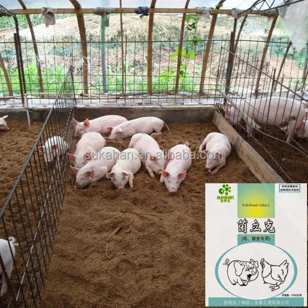 special enzyme and probiotic livestock manure degradation Deodorization