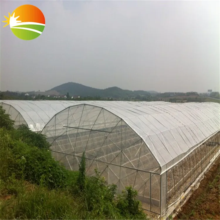 Tunnel plastic film green house