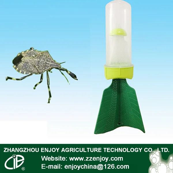 Best price plastic pantatomidae stink bug traps China