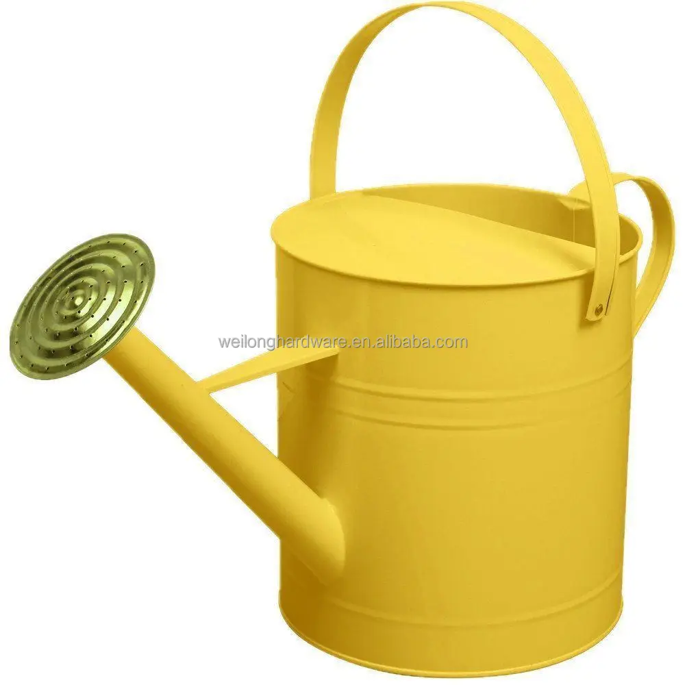 Garden Colour Galvanised Metal Steel Watering Can 9 Litre with Brass Rose